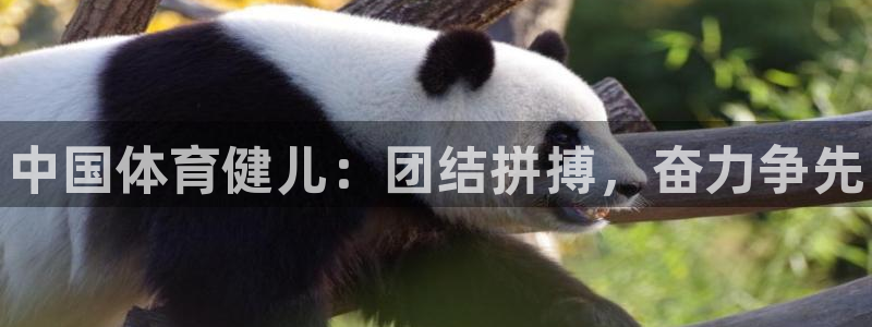 欧亿体育官方正版app科技:中国体育健儿:团结拼搏,奋力争先