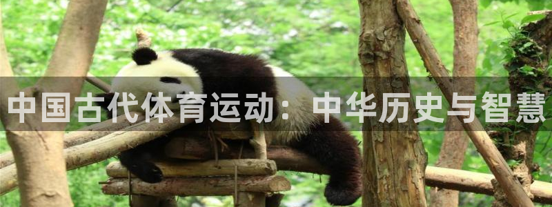注册欧亿体育官方正版app:中国古代体育运动:中华历史与智慧
